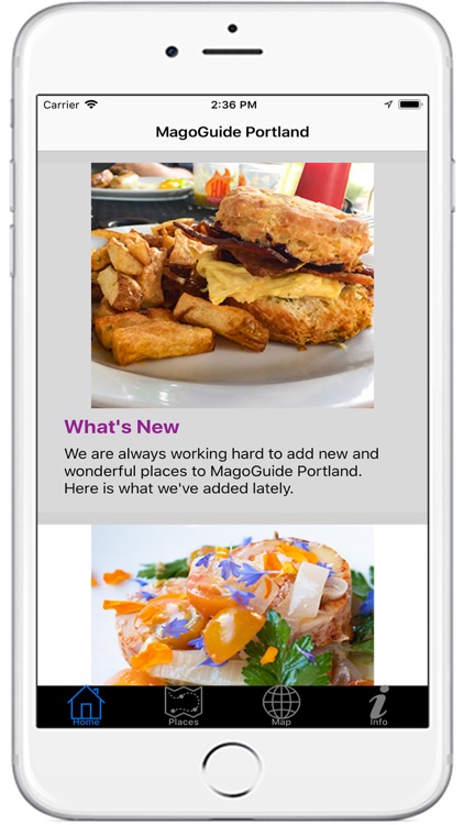 MagoGuide Portland Pro