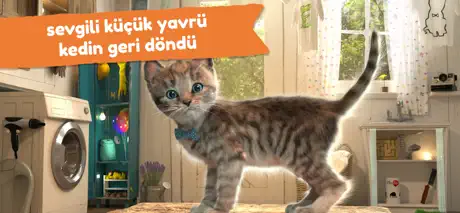 Minik Kedicik - Maceralar 4+