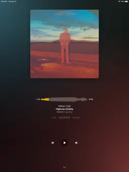 Plexamp screenshot 13