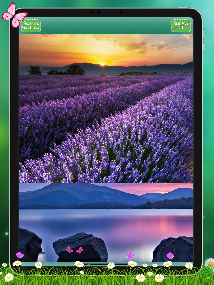 Nature HD Backgrounds