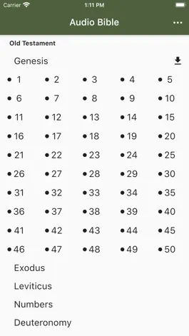 Game screenshot Audio Bible: God's Word Spoken mod apk