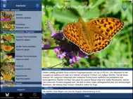 Schmetterling Id - Tagfalter ipad bilder 1