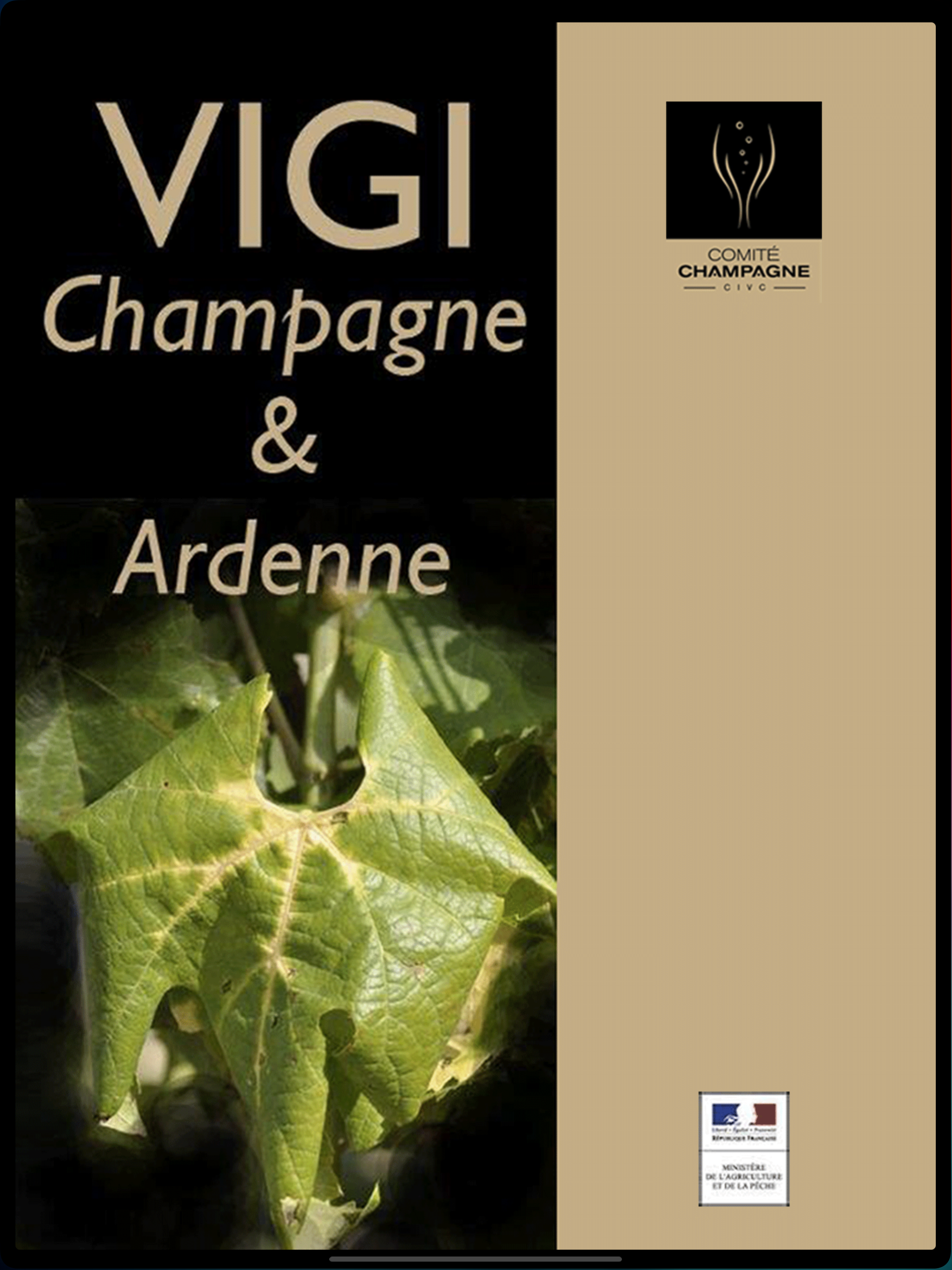 VigiCA