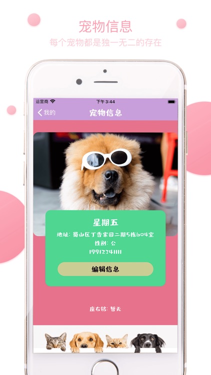 宠托管主人版 screenshot-4