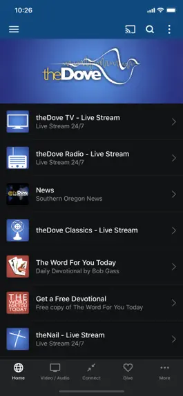 Game screenshot theDove Radio & TV mod apk