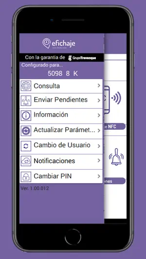 efichaje screenshot 2