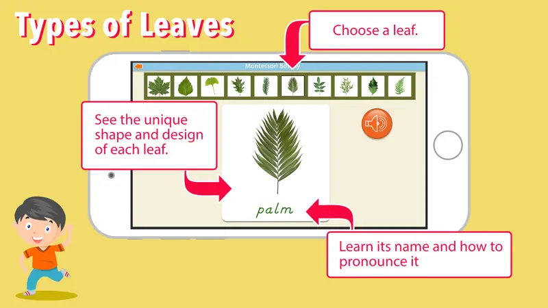 Learn Botany - Parts of Plants screenshot 5 of 9