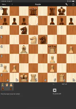 Game screenshot Shredder Chess for iPad apk