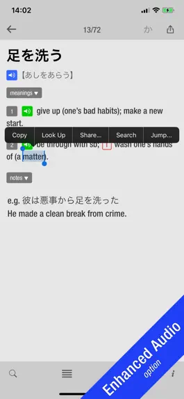 Game screenshot 10000 Japanese Idioms apk