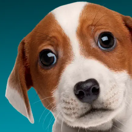 Dogs! A Science Tail Читы
