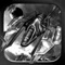 Alien Exterminator Racer is Infinite AirStrike Racer where you have to control your AirCraft, and shoot as many Aliens Ships as you can, while dodging the obstacles