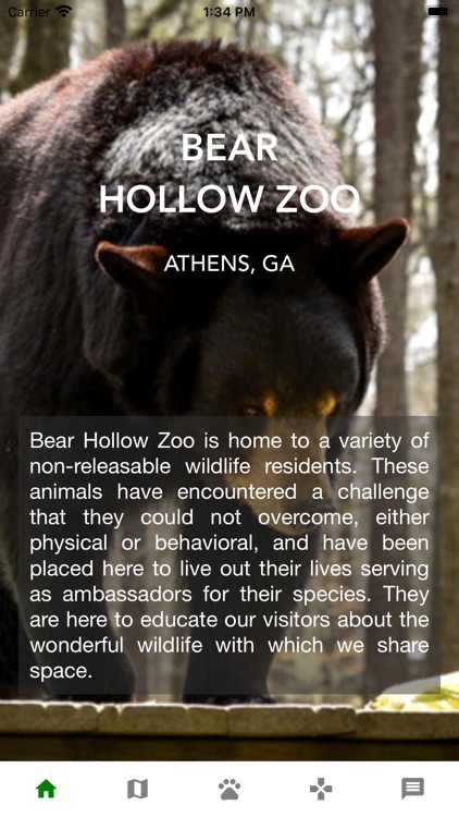 Bear Hollow screenshot-5