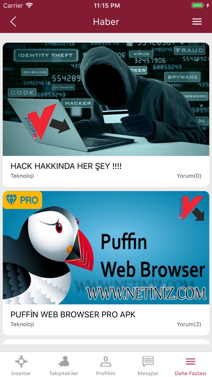 Netiniz.com screenshot-4