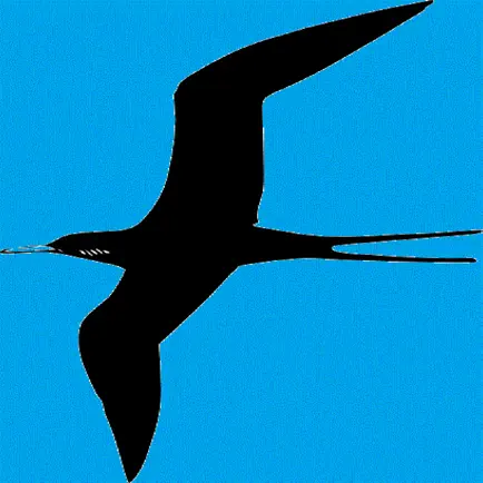 Flyovertrip Читы