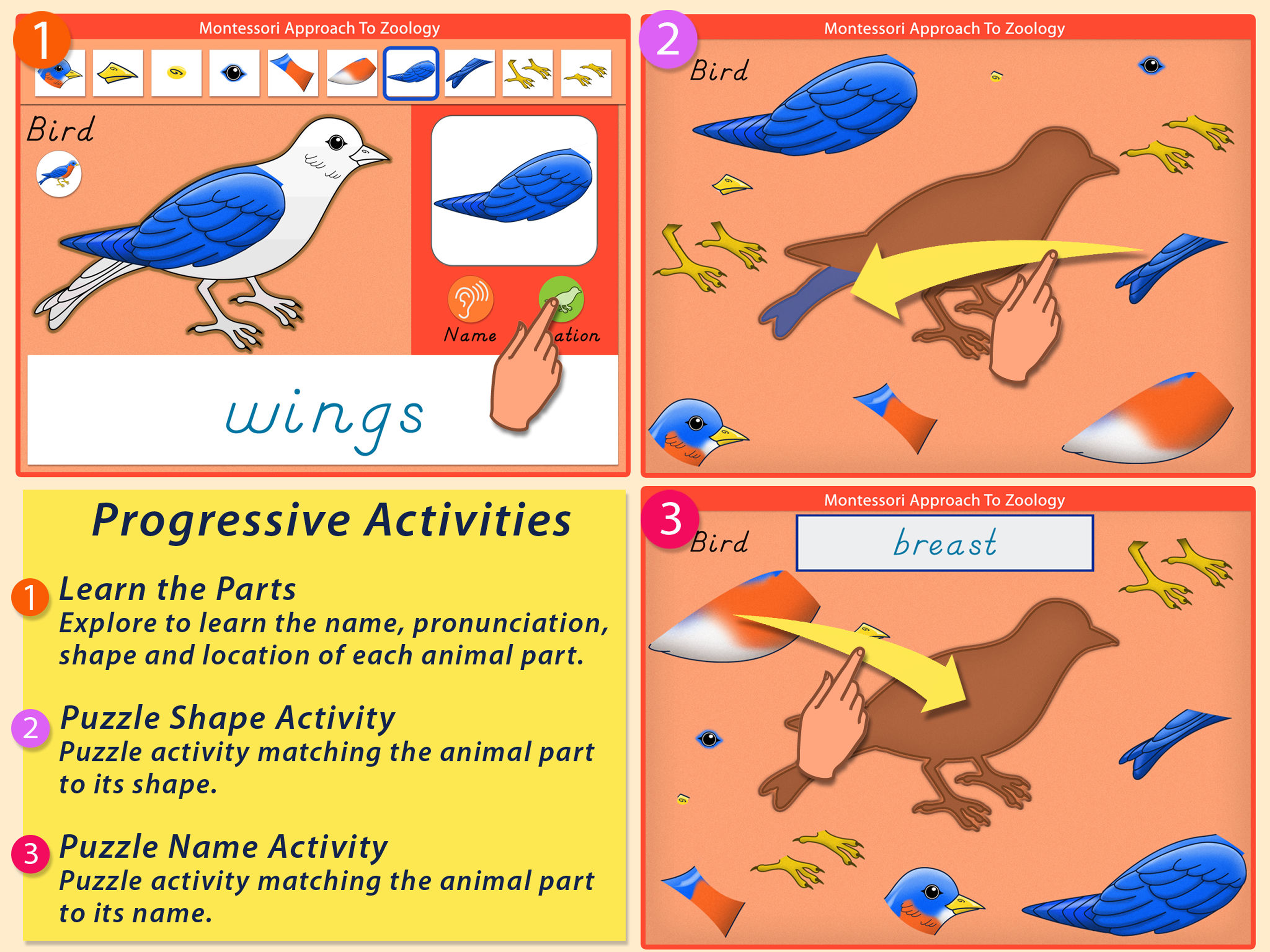 Parts Of Animals - Vertebrates screenshot 8