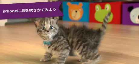 たまごっち  猫: ねこ子供向けのゲーム Cat Game