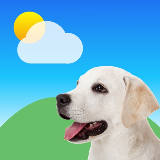 Paw Weather · Forecast & Radar