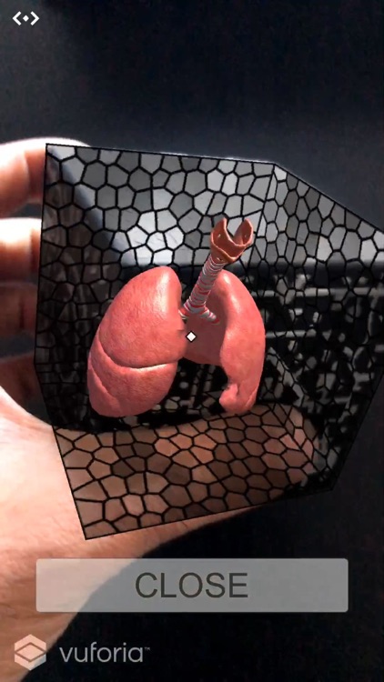 AR Medical