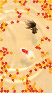 wa kingyo le - goldfish pond iphone screenshot 3