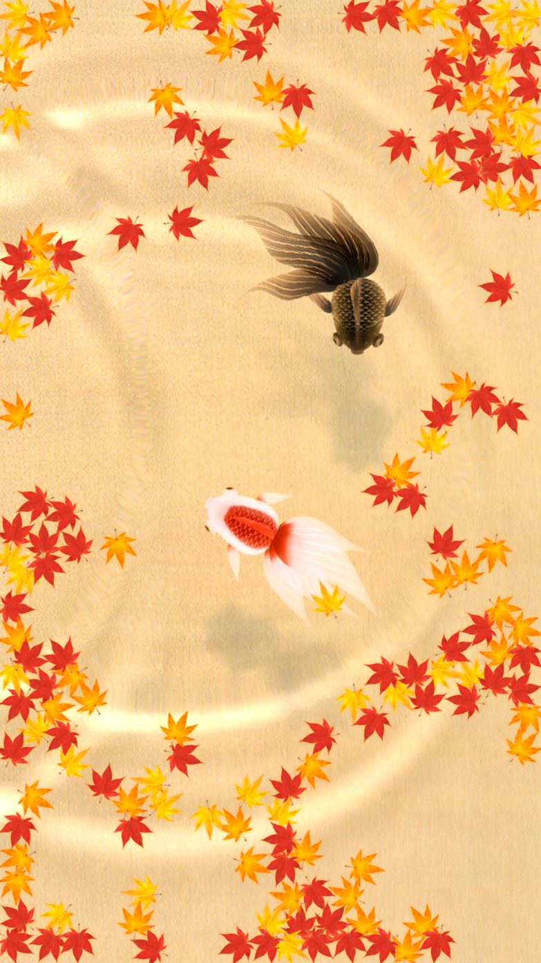 Wa Kingyo LE - 和金魚LE - App Store screenshot 3