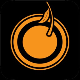 Orange Whip