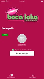 boca loka lanches problems & solutions and troubleshooting guide - 3
