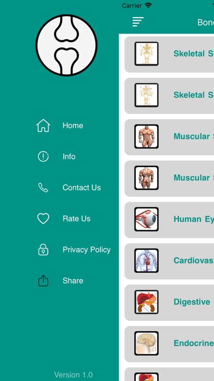 Bone Learning screenshot-3