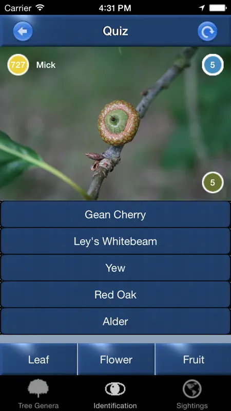 Tree Id identify UK trees screenshot 5 of 5