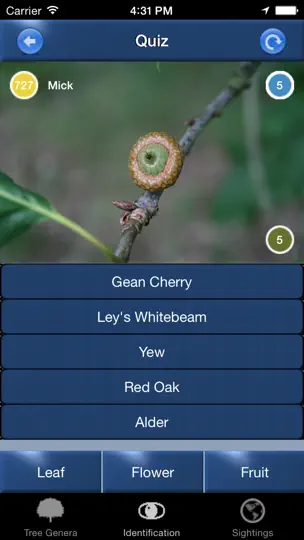 Tree Id Identify UK Trees iPhone-skjermbilde 5