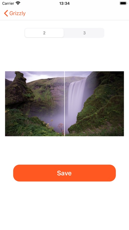 Grizzly - Split Photo