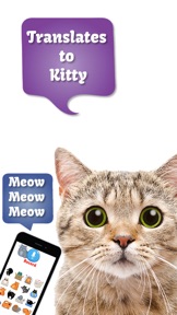Cat Translate: talk to Kitten screenshot