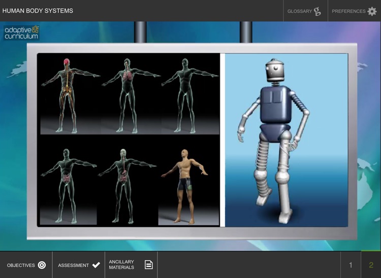 Systems in the Human Body screenshot-3