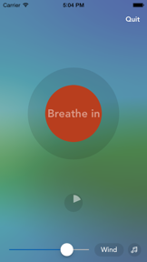 Vagusvit Home screenshot