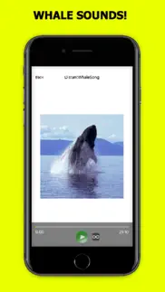 whale sounds! iphone screenshot 3