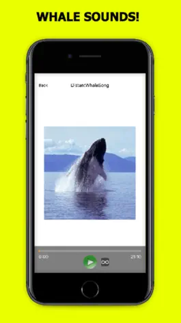 Game screenshot Whale Sounds! hack