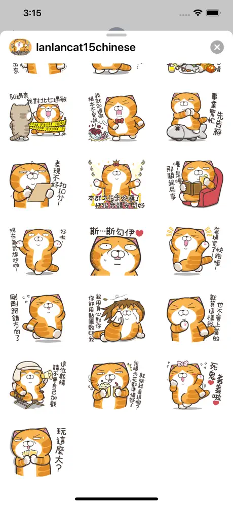 白爛貓15 - 超愛玩