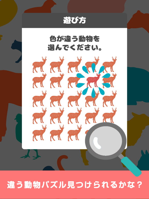 動物色彩 -間違い探しで色彩感覚をテスト診断-のおすすめ画像1