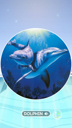 Marine Creatures Cards of Sea screenshot 2