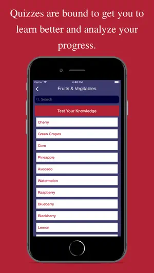 ASL Study screenshot 4