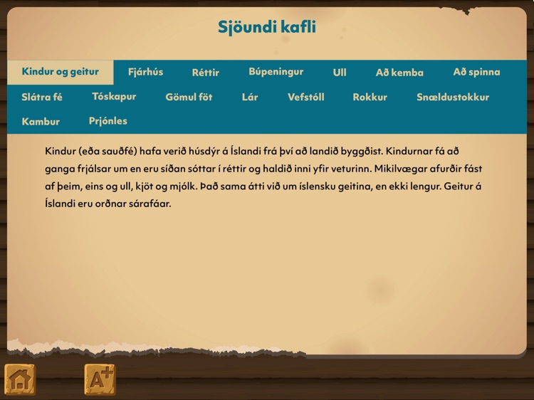 Sögusteinninn leikjabók screenshot-8