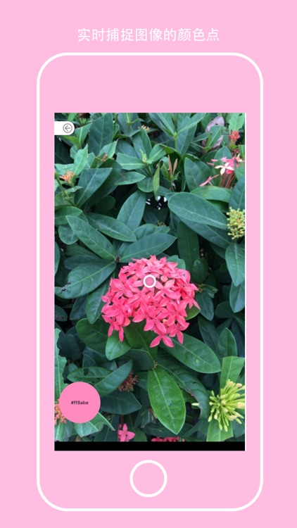 kolor it!-panit by color screenshot-7