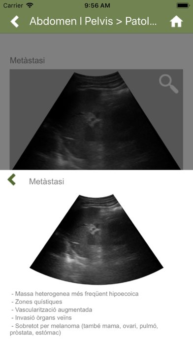 EcoAPp Screenshot