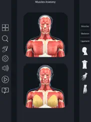 my muscle anatomy ipad resimleri 1
