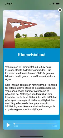 Game screenshot Norrköpings stadsmuseum apk