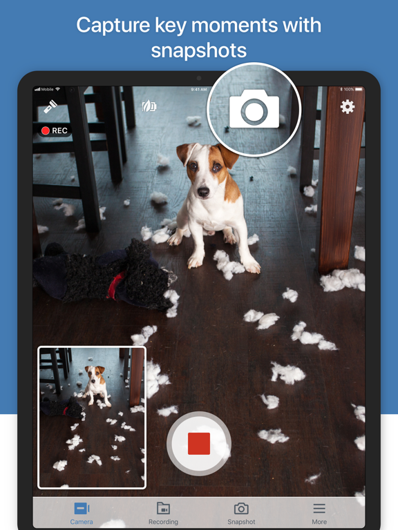 Screenshot #6 pour Synology LiveCam
