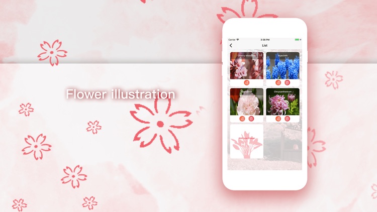 Flower album-Beautiful flower