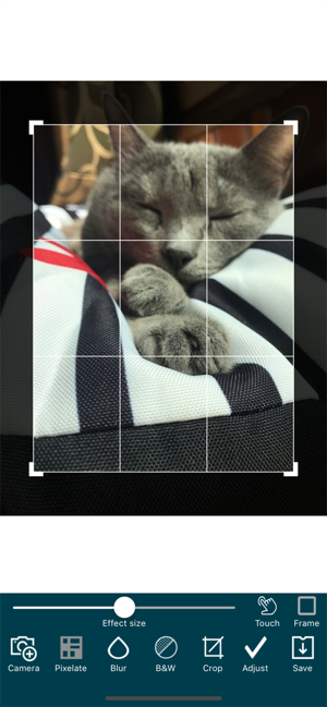 Mosaic&Blur
