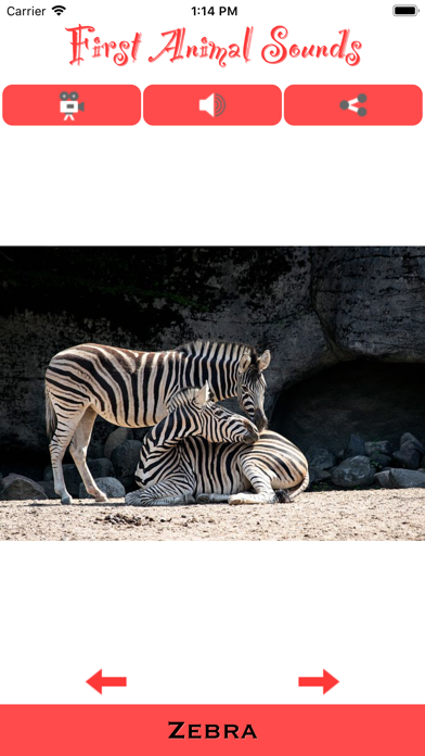 Screenshot #1 pour First Animal Sounds App