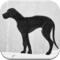 Dog Games Free For Kids: Barks - Is your little boy or girl a big lover of dogs, puppy and doggy