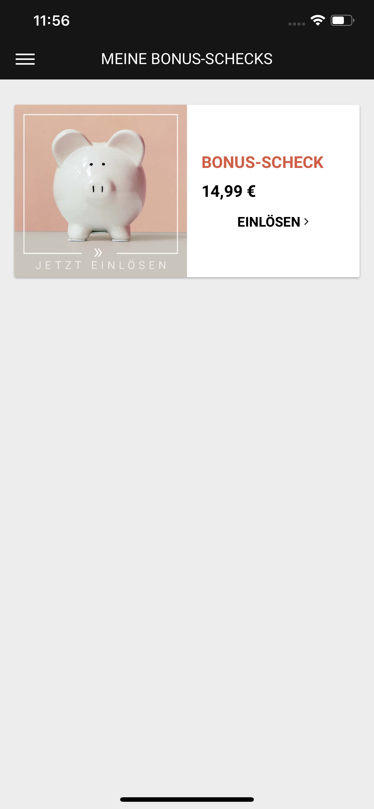 Wagener screenshot 4